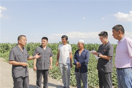 47万元葵花籽纠纷就地调解：双赢